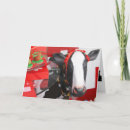 Search for cow cards Fun