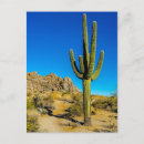 Recherche de de cactus cartes postales Amérique du nord