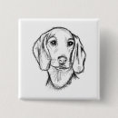 Recherche de teckel badges Chiot