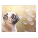 Recherche de carlin blocsnotes Animal