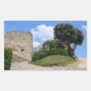 Search for olive tree stickers Nature