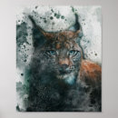 Search for lynx posters Wildlife