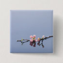 Search for beautiful blossom buttons Beauty