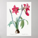 Search for exotic plants posters Botanical