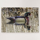 Recherche de canard puzzles Ornithologie