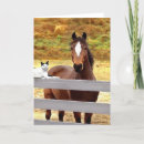 Recherche de chat minou vœux cartes Amitié