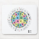 Recherche de adn tapis souris Génétique