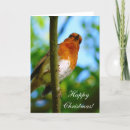 Recherche de merle vœux cartes Mignon