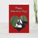 Search for husky valentines day cards Dogs