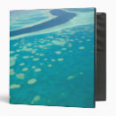 Search for queensland binders Walter bibikow