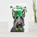 Search for scottish terrier holiday cards Dogs