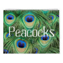 Search for peacock calendars Nature