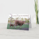 Recherche de vache vœux cartes D'anniversaire de vache