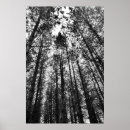 Recherche de convergence posters Pour tous