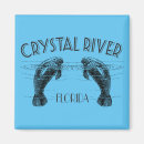 Search for crystal magnets Manatee