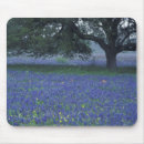 Recherche de bleu bleuet tapis souris Nature