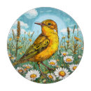 Search for warblers Feathers