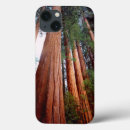 Search for old ipad cases America