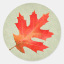 Search for oak tree leaf leaves stickers Thanksgiving