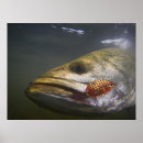 Recherche de pêche mouche posters Mer