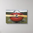 Search for tail dragger Pilot