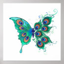 Search for tail feather posters Feathers