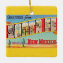 Search for cactus ornaments New mexico