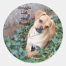 Search for puggle stickers Snuggle