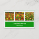 Search for school horizontal photocards Modern