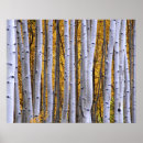Search for intimate posters San juan mountains