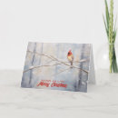 Recherche de cardinal christmas cards Forêt