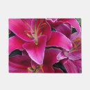 Search for stargazer lily decor Nature