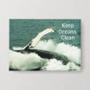 Recherche de des baleines badges Baleine à bosse