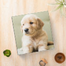 Search for animal binders Pets