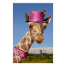 Search for giraffe posters Wildlife