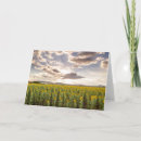 Search for queensland cards Nature