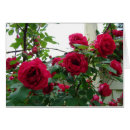 Recherche de masquez la note Rouge