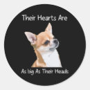 Search for chihuahua stickers Animal