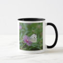 Search for butterfly image mugs Insect