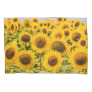 Search for field pillowcases Summer