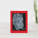 Search for squirrel drawing cards Animals