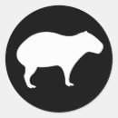 Search for capybara crafts party Giant rodent