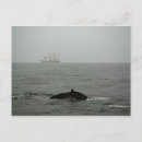 Recherche de bosse cartes postales Baleine