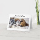Recherche de désir maison deco Chat