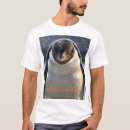Recherche de anniversaire de pingouin vêtements Toute personne