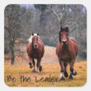 Search for wild ponies stickers Equestrian