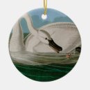 Search for audubon birds ornaments Nature