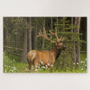 Recherche de alberta puzzles Le parc national banff