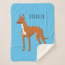 Search for the pharaohs blankets Dog