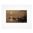 Recherche de brume art Baie